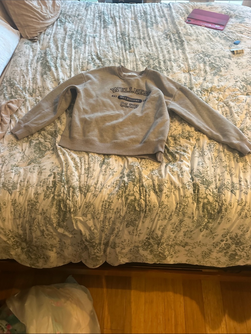 Wellness Club Gray Crewneck Sweater